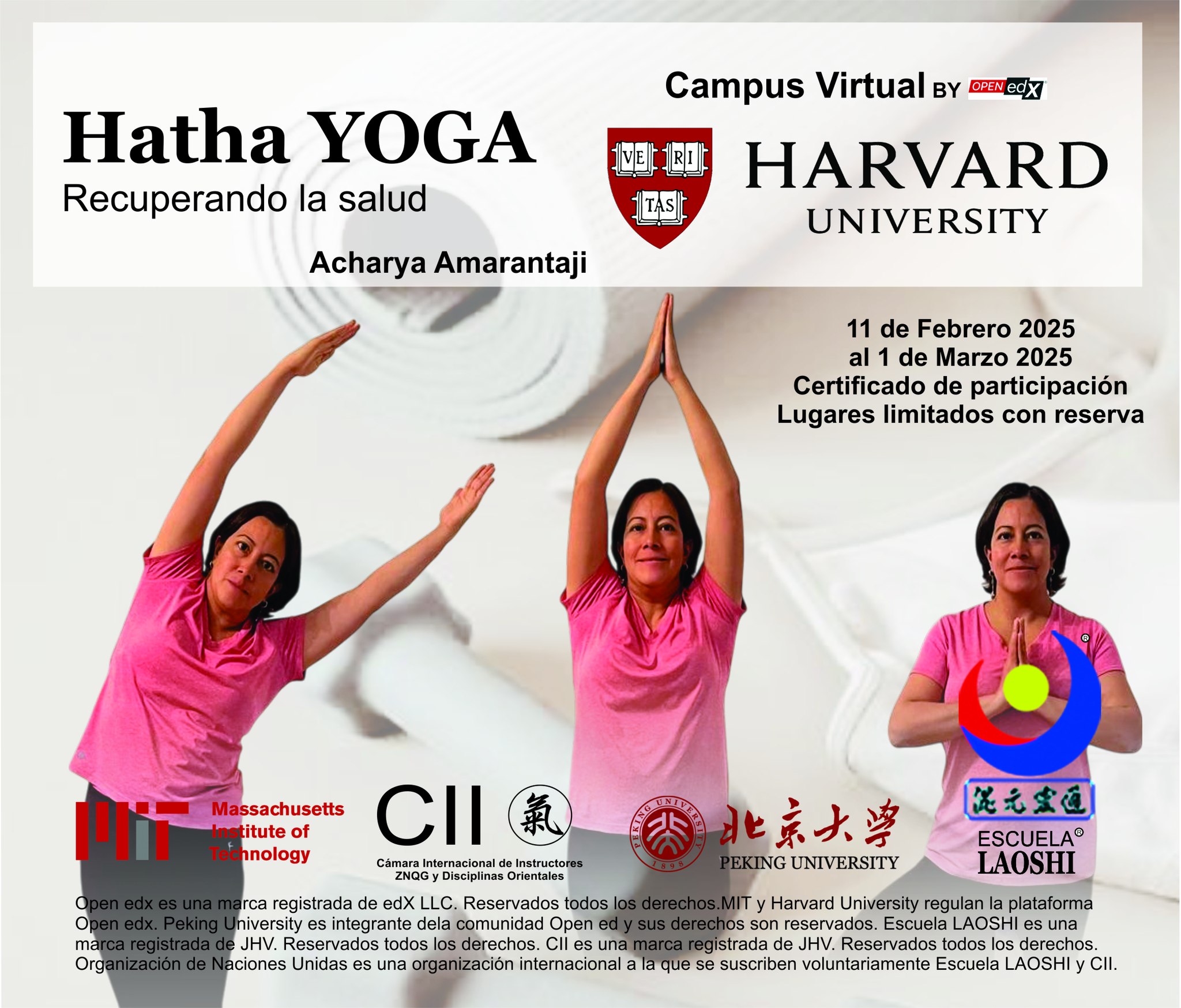 CURSO INTENSIVO DE HATHA YOGA NIVEL 1 CT001
